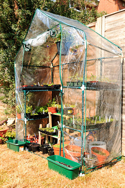 A green house full of flowers,herbs and plants. Green house in the garden