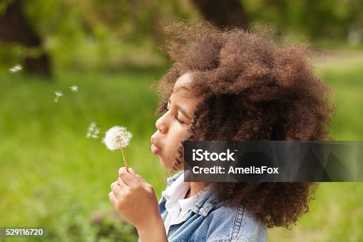 istock Lovely girl blowing on a dandelion 529116720