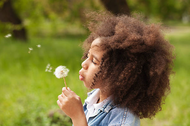 Lovely girl blowing on a dandelion Lovely little girl blowing on a dandelion little black girl hairstyle stock pictures, royalty-free photos & images