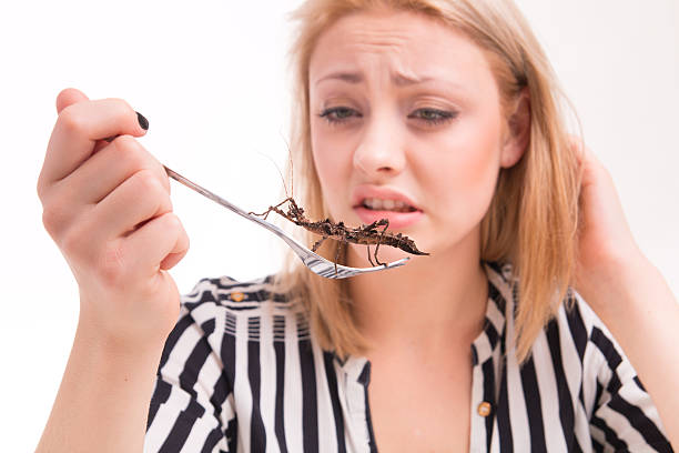 istock Disgusted woman eating insects with a fork in a restaurant 529116959