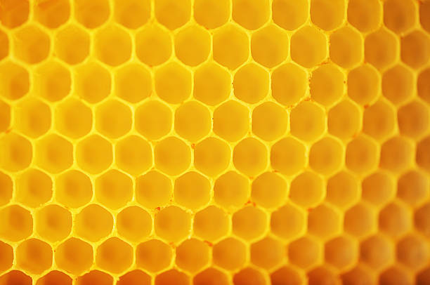 panal patrones - bee macro insect close up fotografías e imágenes de stock