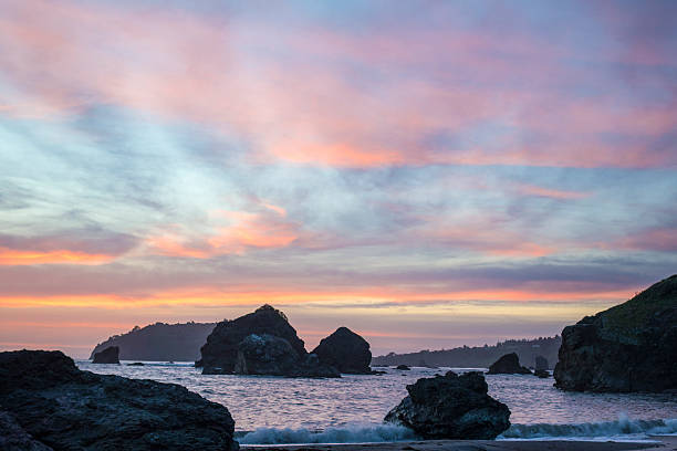 rosa al mar - humboldt county california coastline island fotografías e imágenes de stock