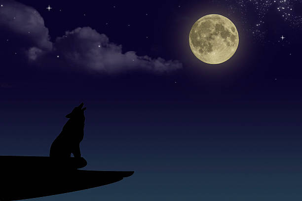 istock Wolf howling at the full moon at night 529117392