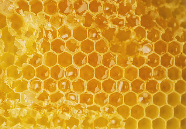 Honeycomb Textures Taking a close look at the honeycomb inside a beehive. beeswax photos stock pictures, royalty-free photos & images
