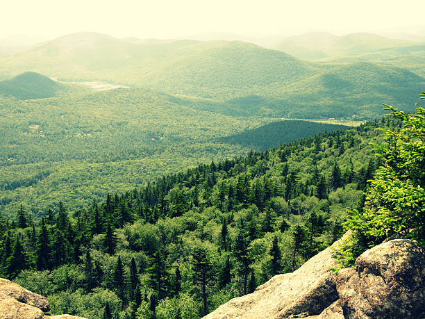 Green Tree Covered Adirondack Mountains with Rock stock photo