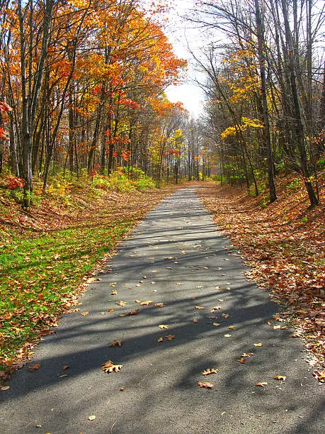 Bike path covered with fallen leaves and shadows of bare trees. A beautiful time of year in Saratoga, New York.
