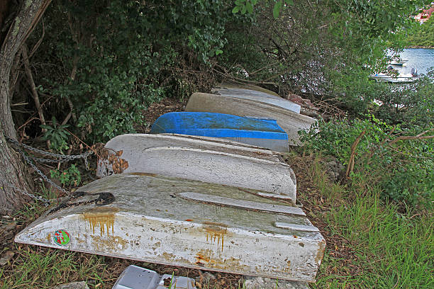 A row of dinghies, upside down, besides a lake