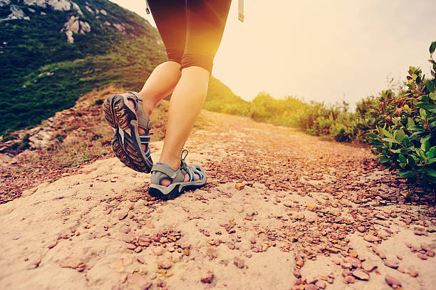 istock hiking legs walking on seaside mountain trail 529120087
