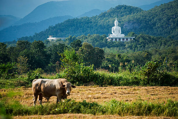Pra-That-Doi-Loan Temple