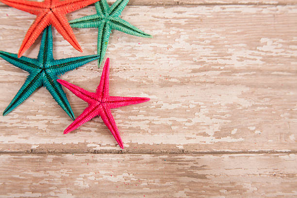 istock Summer vacation.  Colorful starfish on wooden background. 529120812