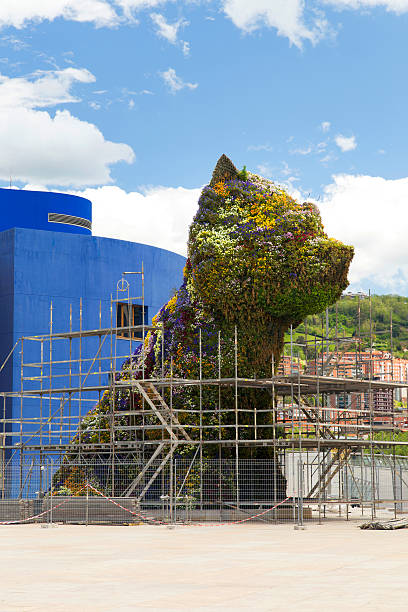 Bilbao, Spain - May 9, 2016: Puppy under maintenance. Puppy is a sculpture designed by Jeff Koons in 1992, in front of the Guggenheim museum of Bilbao, Spain.