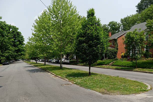 istock Neighborhood Block in Spring 529124660