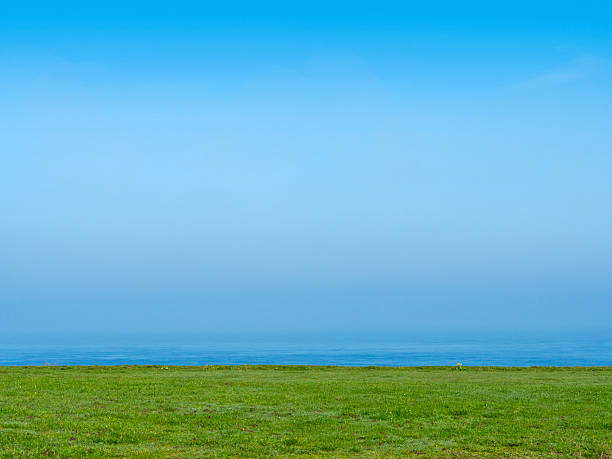 istock Misty sky and sea with grass 529126092
