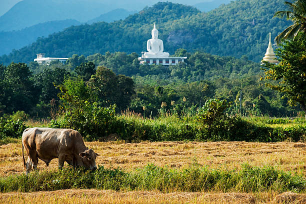Pra-That-Doi-Loan Temple