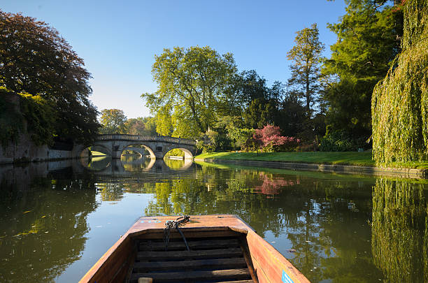 Punting on the river Cam in Cambridge Traditional leisure activity - punting on the river Cam in Cambridge cambridge england stock pictures, royalty-free photos & images