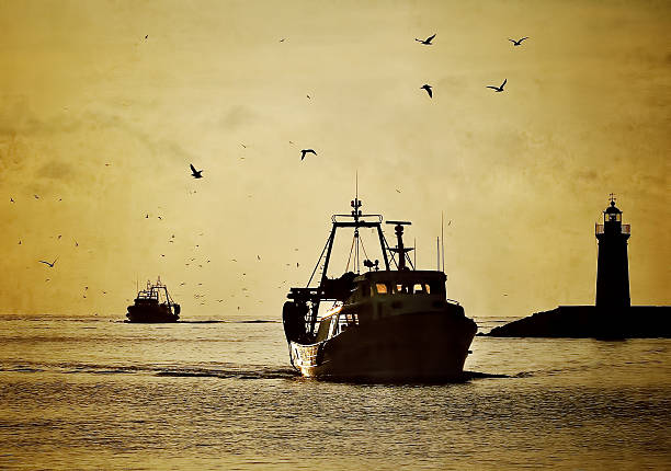 Fishing boats at Sunset stock photo