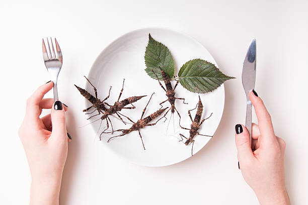 Plate full of insects in insect to eat restaurant Plate full of insects in insect to eat restaurant cockroach food stock pictures, royalty-free photos & images