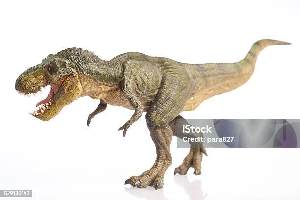 27,100+ Tyrannosaurus Rex Stock Photos, Pictures & Royalty-Free Images -  iStock