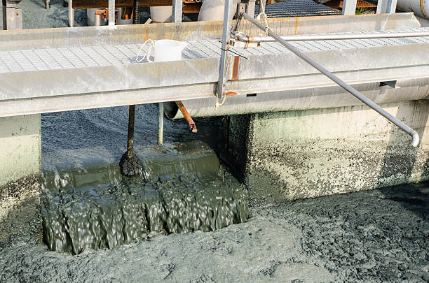 istock waste water treatment with biological mud 529130411