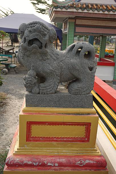 chow chow hund-statue - chinese temple dog stock-fotos und bilder