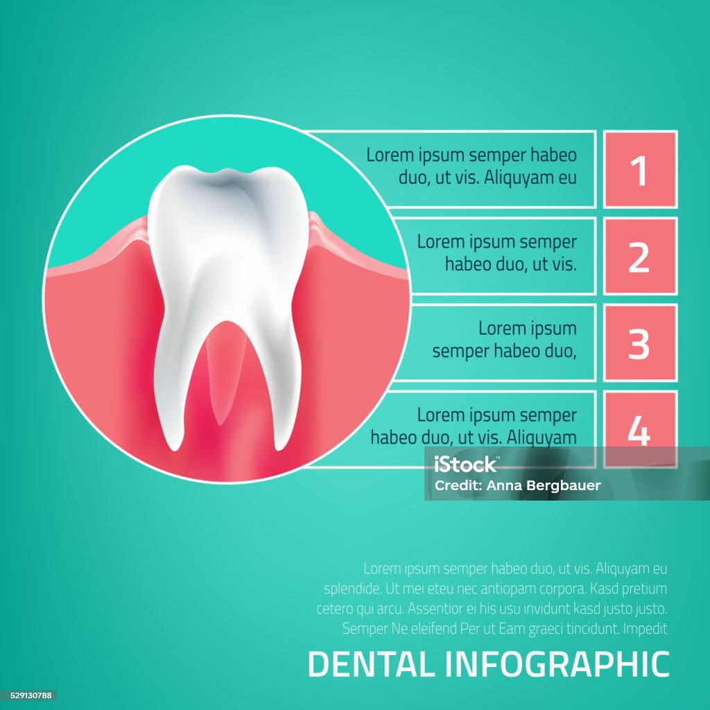 Teeth Infographic A05 Stock Illustration - Download Image Now - Graph