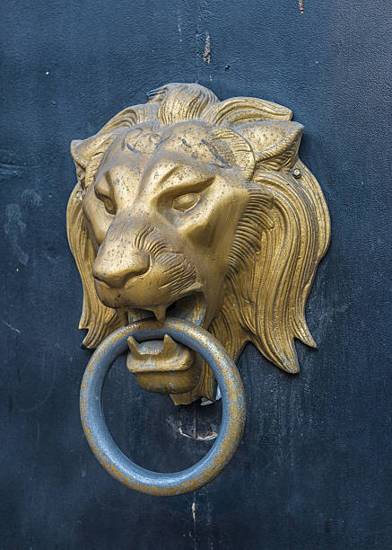 istock Lion head doorknocker on a metal door 529130830