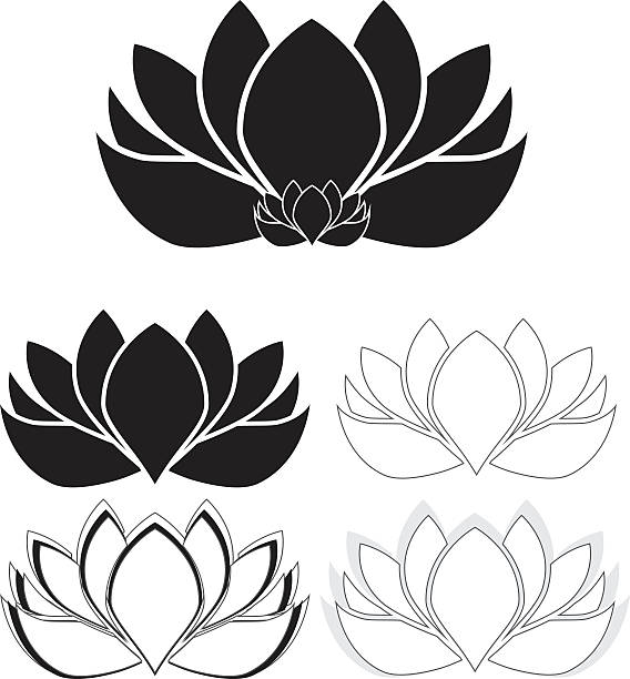 ilustraciones, imágenes clip art, dibujos animados e iconos de stock de lotus flores, agua lirios de - lotus