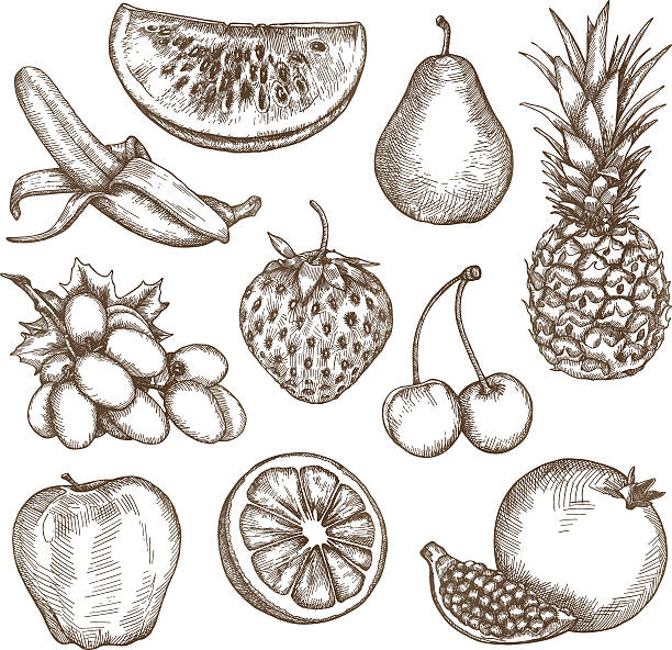 フルーツ、スケッチ、ハンド描出 - strawberry fruit isolated freshness点のイラスト素材／クリップアート素材／マンガ素材／アイコン素材