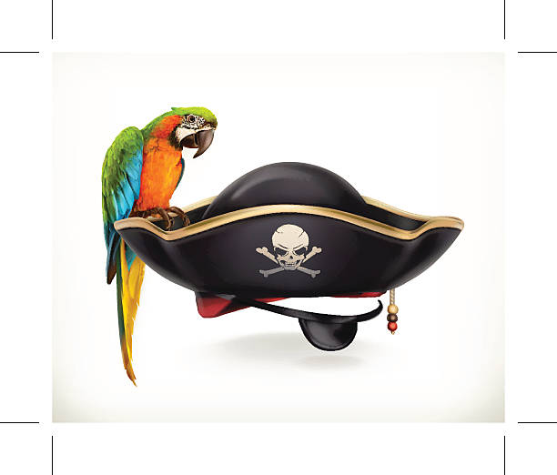 Pirate hat icon Pirate hat, vector icon pirate criminal stock illustrations