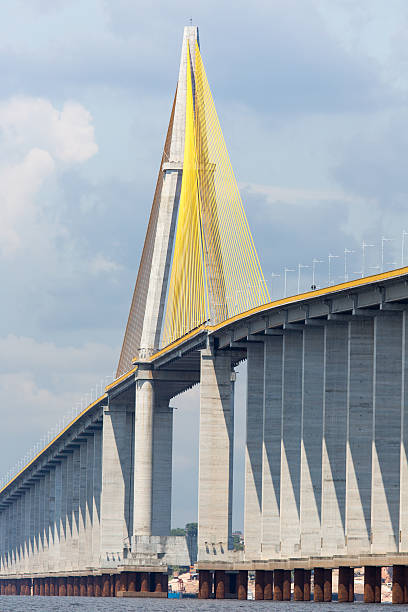 istock The Manaus Iranduba Bridge 529134979