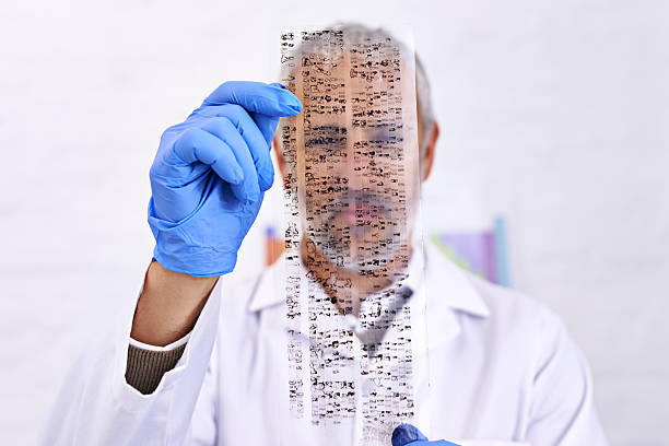 DNA analysis in progress Shot of a male scientist examining the results of a DNA test genetic screening stock pictures, royalty-free photos & images