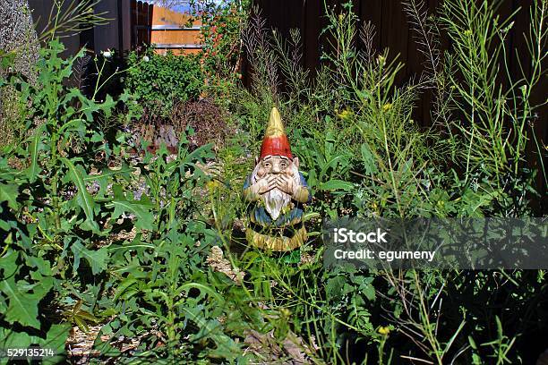 Lo Gnomo Disprezzo Per Cortile Coperto Di Vegetazione - Fotografie stock e altre immagini di Giardino domestico