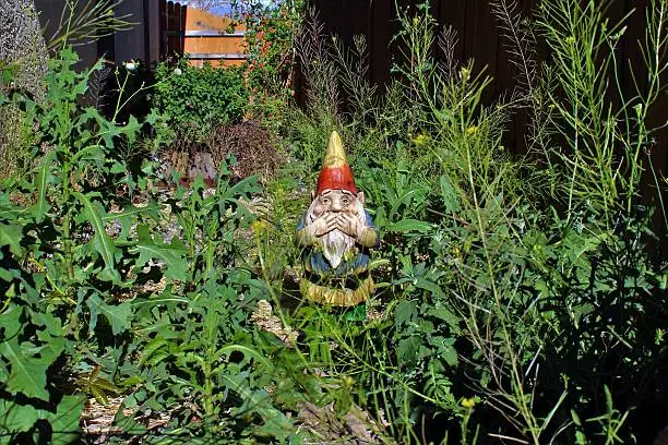 Garden gnome disgusted by overgrown side yard.