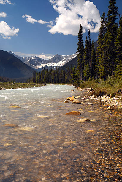 istock Kootenay National Park - British Columbia - Canada 529135914