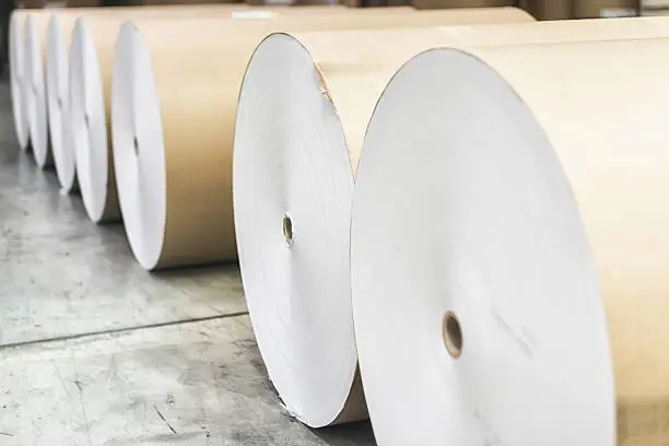 Paper rolls lined up waiting to be put on printing press