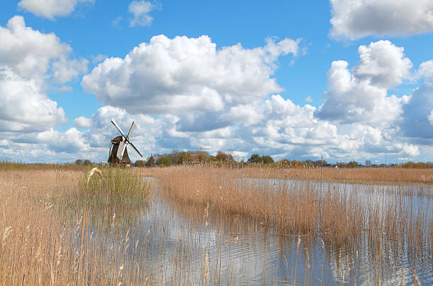 オランダの風車、美しい青い空 - netherlands windmill farm farmhouse ストックフォトと画像