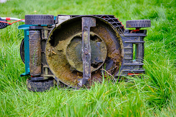 istock Underside of a Lawn Mower in long grass 529142188