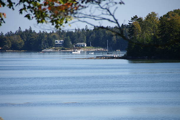 istock Cove with lobster boats 529142690
