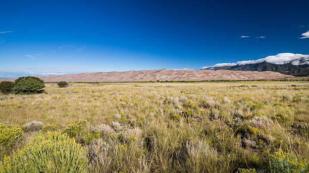 parque nacional grandes dunas de arena - alamosa fotografías e imágenes de stock