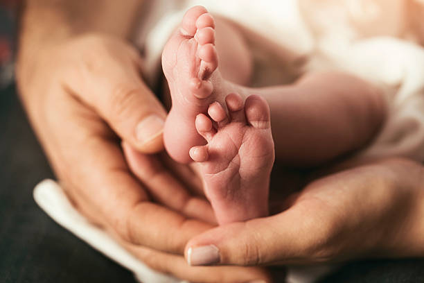 istock Baby feet in the parents hands 529144696
