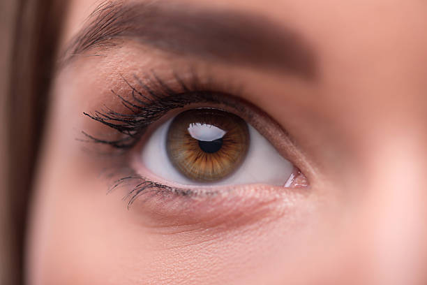 istock Beautiful  girl expresses  different emotions 529156633