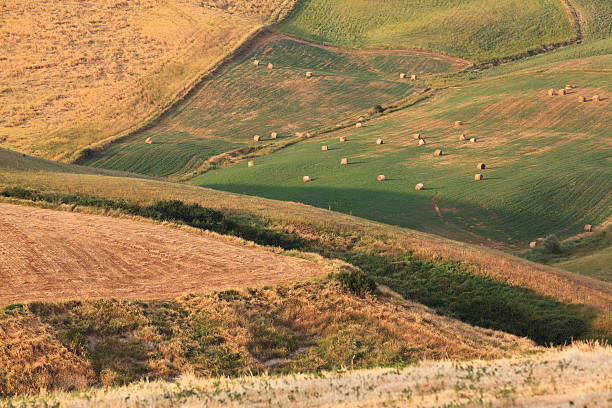 istock Crete senesi, hills close up in Val D'Orcia, Tuscany. 529156777