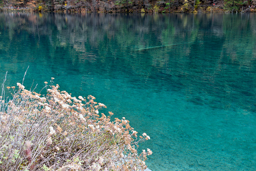 Five Flower Lake, Jiuzhaigou Valley is a nature reserve and national park located in the north of Sichuan, China.