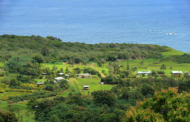 istock Exotic coastline of Hawaii 529160411