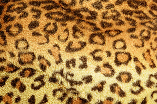 istock texture of print fabric stripes leopard for background 529174979