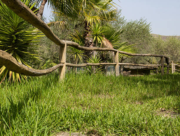 istock wooden rustic fence in garden 529175367