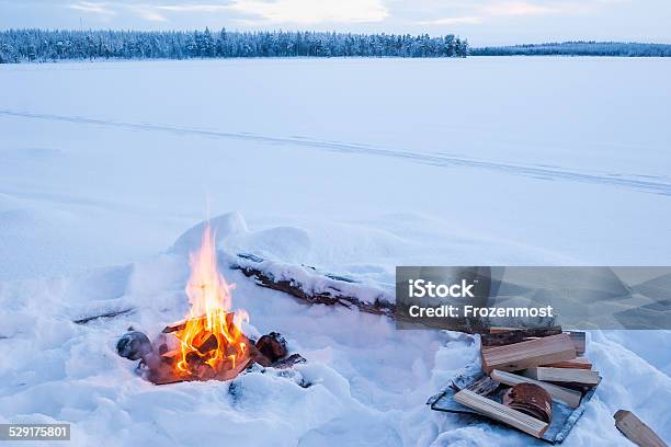 Lonely Campfire Stock Photo - Download Image Now - Campfire, Winter, Snow