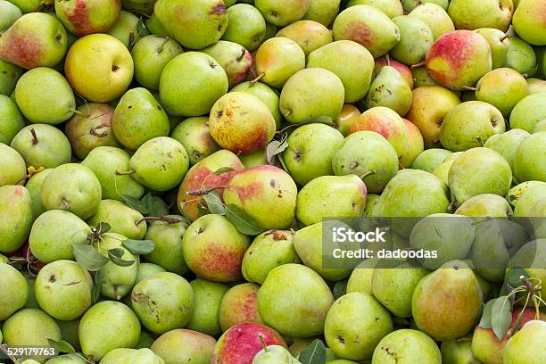 Several Green Pears Stock Photo - Download Image Now - Apple - Fruit, Art, Art And Craft