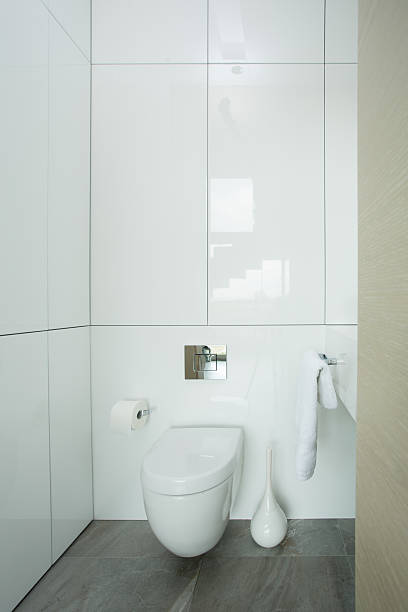 istock Small clean and fresh toilet 529181347