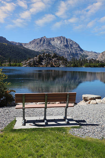 istock The Seagull Lake. A sunny day 529191203